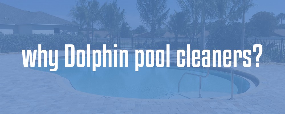 Why Dolphin pool cleaners?