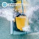Dolphin Triton PS Dolphin Triton PS